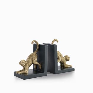 Set monos sujetalibros